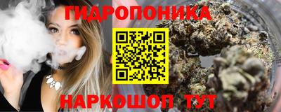 винт Дубна