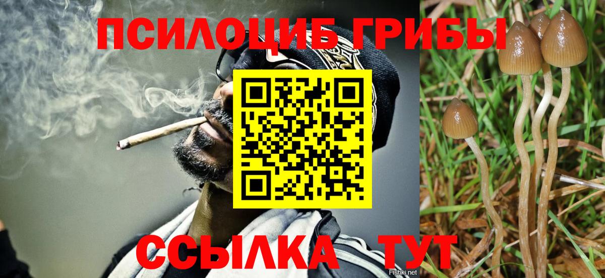 Псилоцибиновые грибы прущие грибы Ханты-Мансийск
